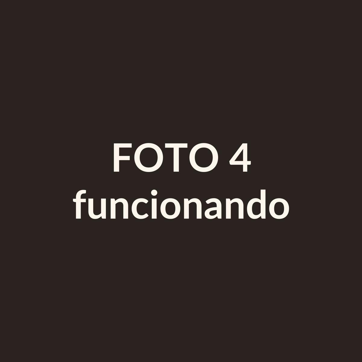 La freidora funcionando con comida adentro